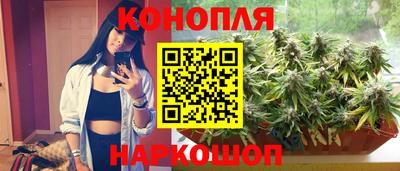 mdpv Усть-Илимск