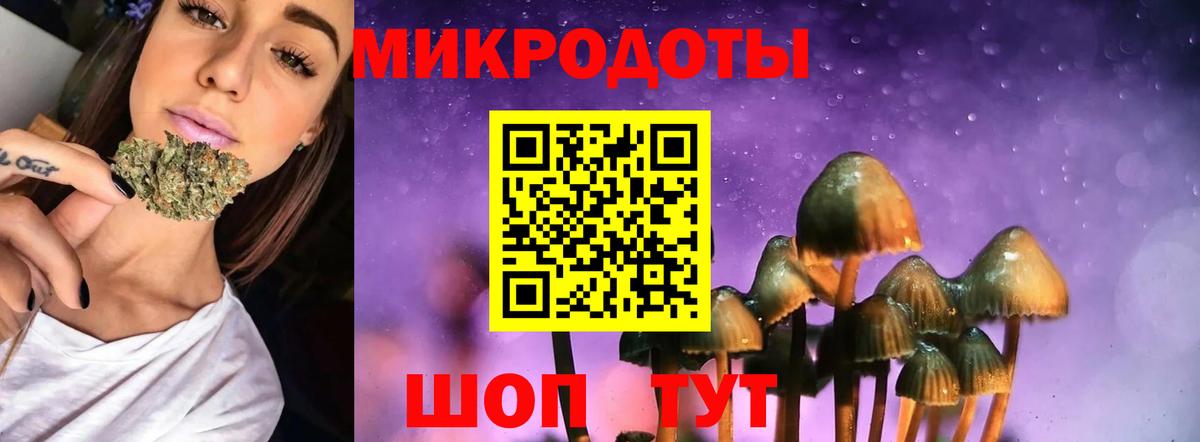 Псилоцибиновые грибы мухоморы  купить   Видное  Вход с VPN 